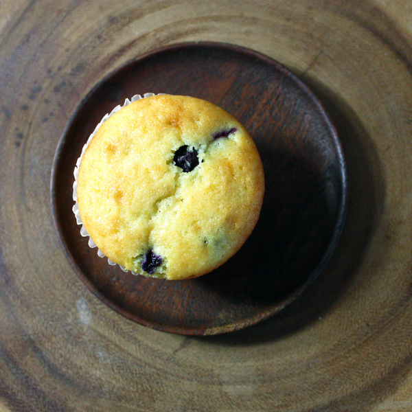 Blueberry Muffin